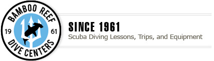 Bamboo Reef Scuba Diving Centers